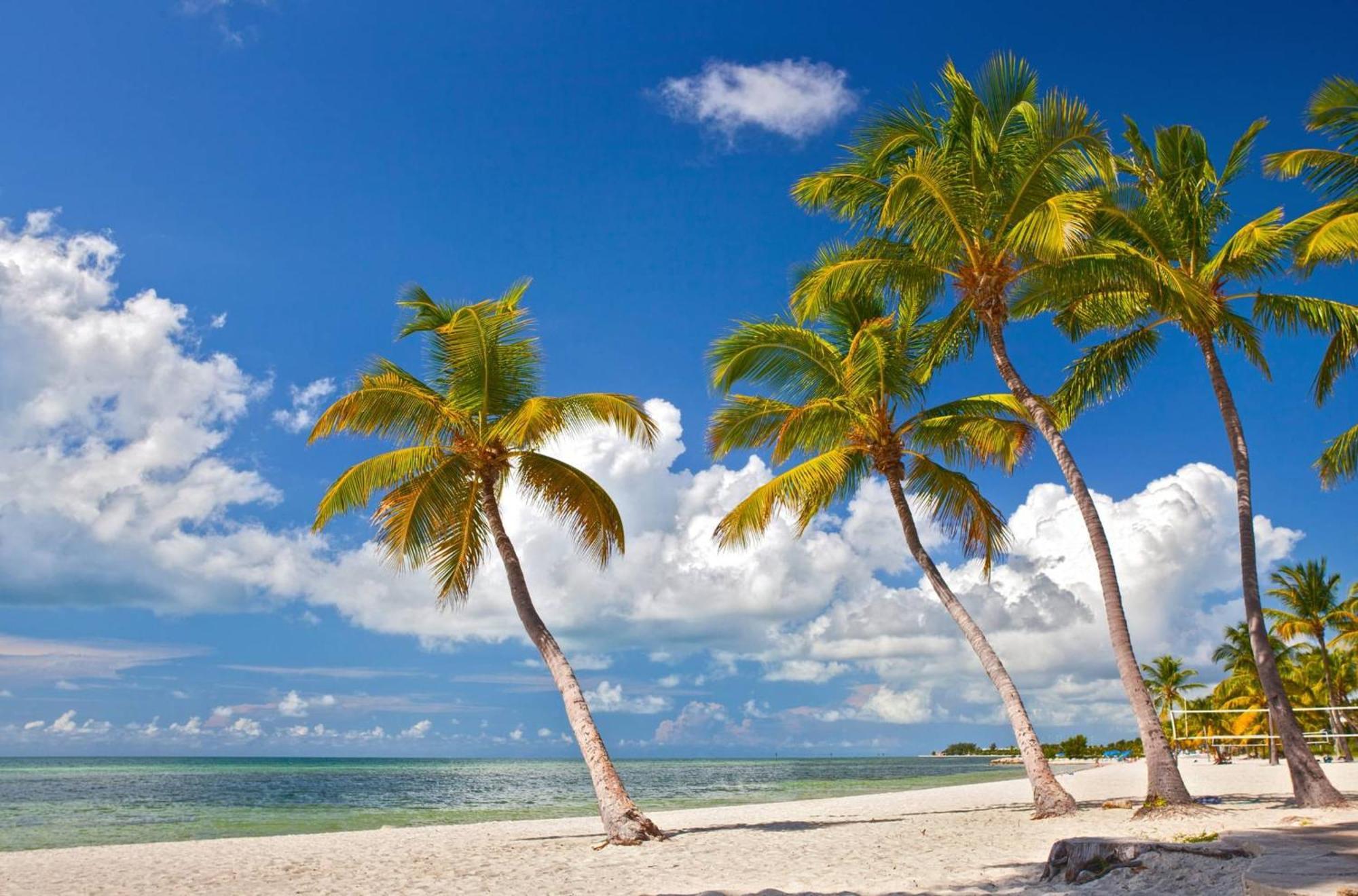 Casa Grande By Avantstay Dt Key West Near South Beach W Pool Exteriér fotografie